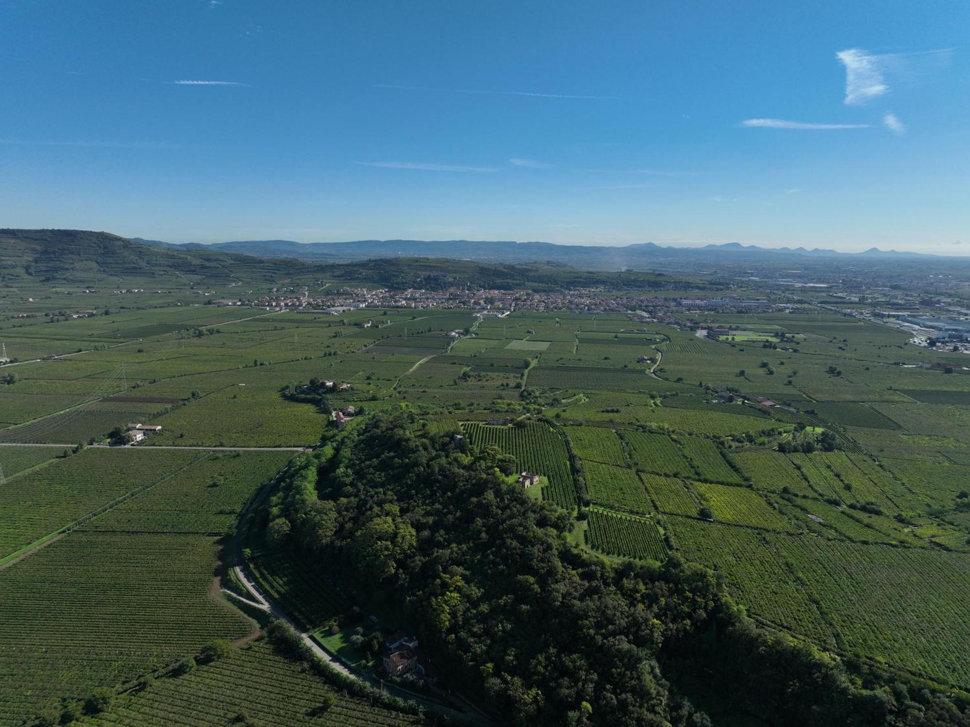 Agriturismo Monte Bisson 소아베 외부 사진